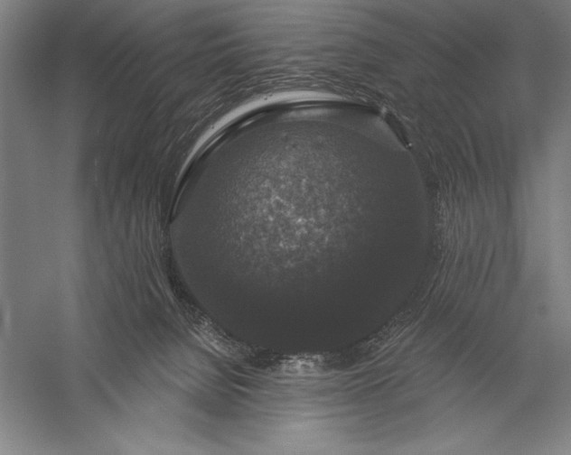 X0000056350080200509091607