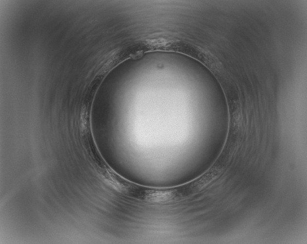 X0000056350081200509091607