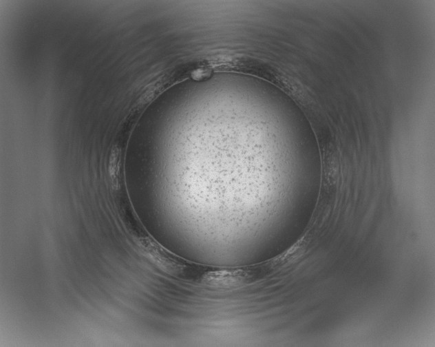 X0000056350082200509091607