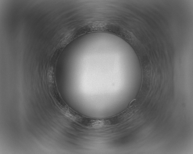 X0000056350083200509091607