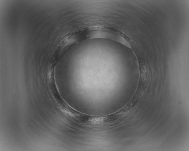 X0000056350084200509091607