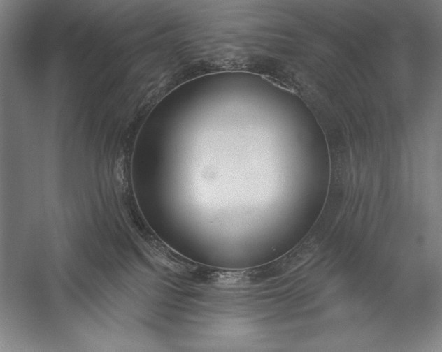 X0000056350088200509091607