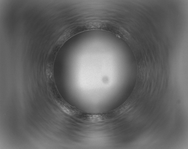 X0000056350091200509091608