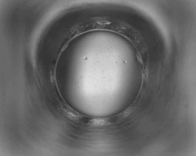 X0000056350093200509091608