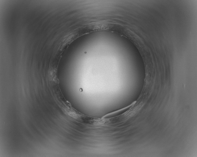 X0000056350096200509091608