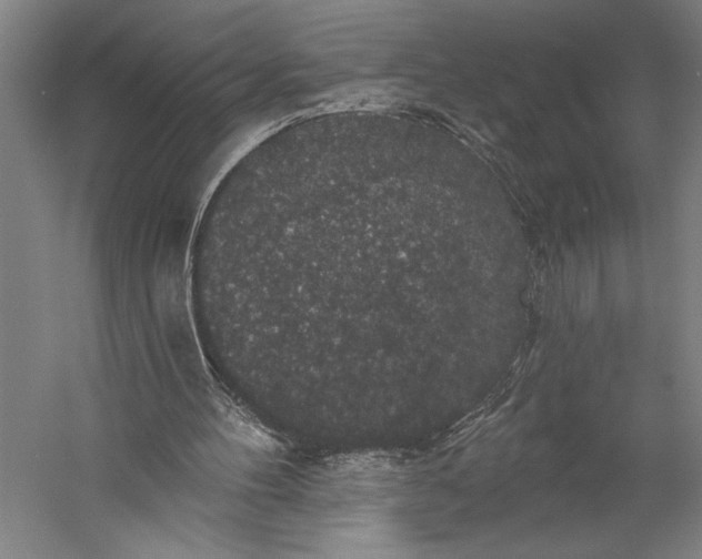 X0000056350100200509091607