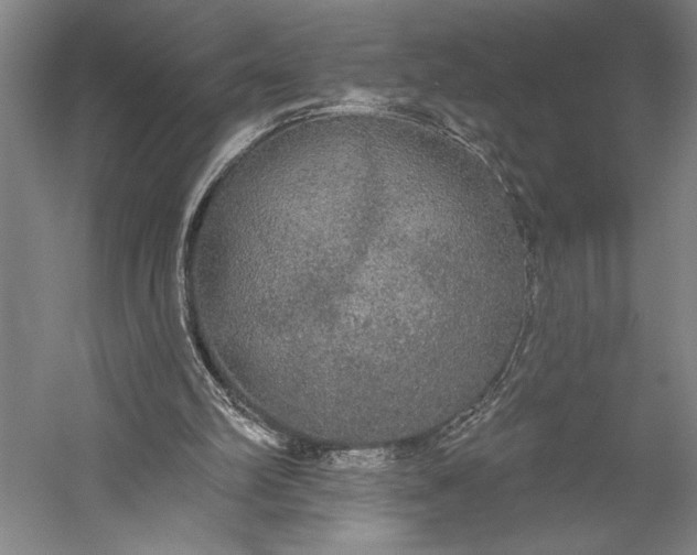 X0000056350102200509091607