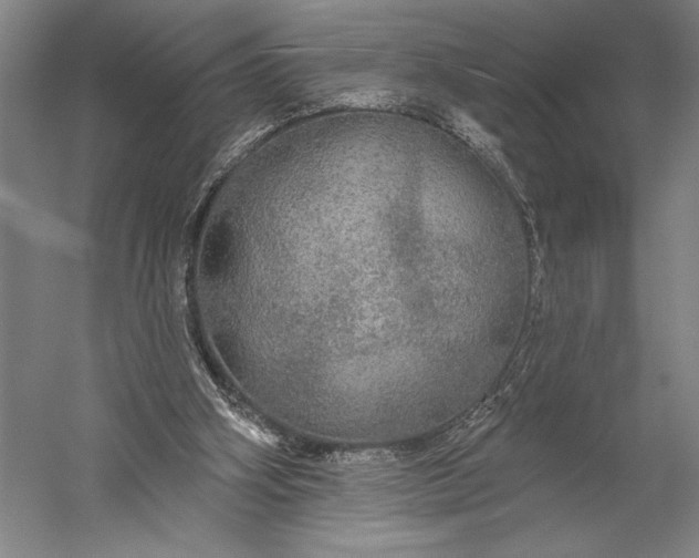 X0000056350106200509091607