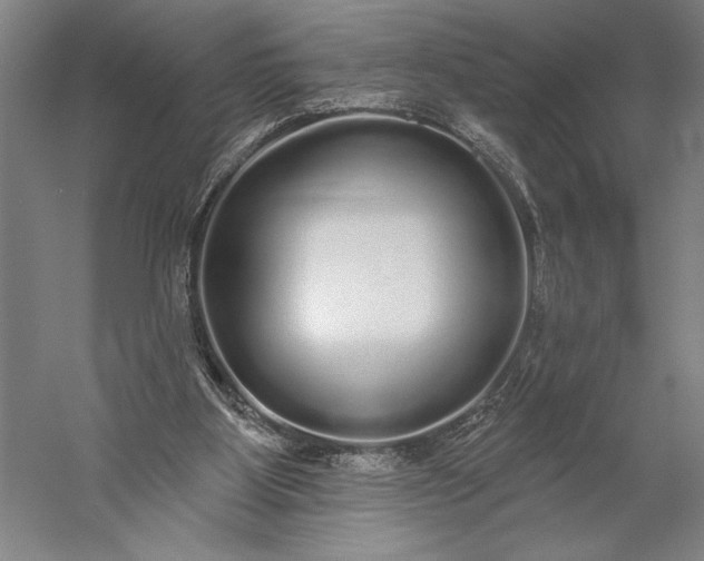 X0000056350107200509091607