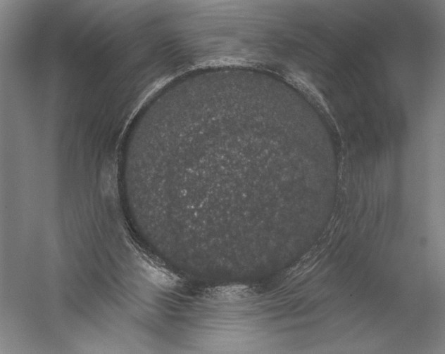 X0000056350108200509091607