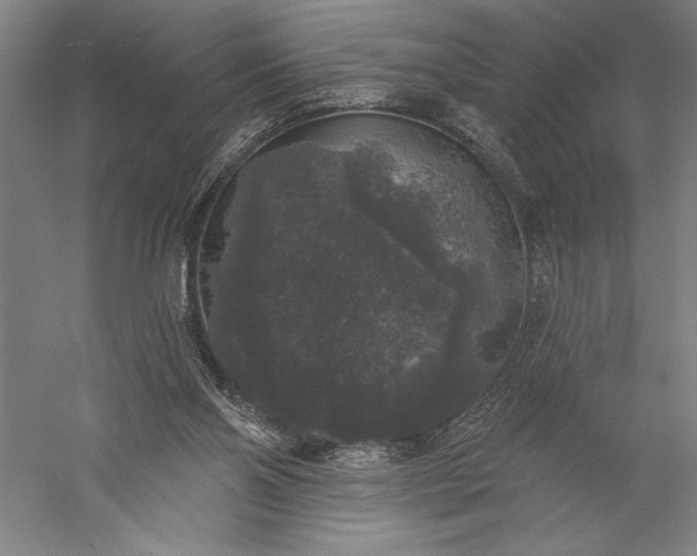 X0000056350110200509091607