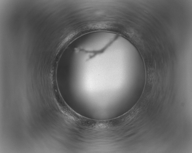 X0000056350111200509091607