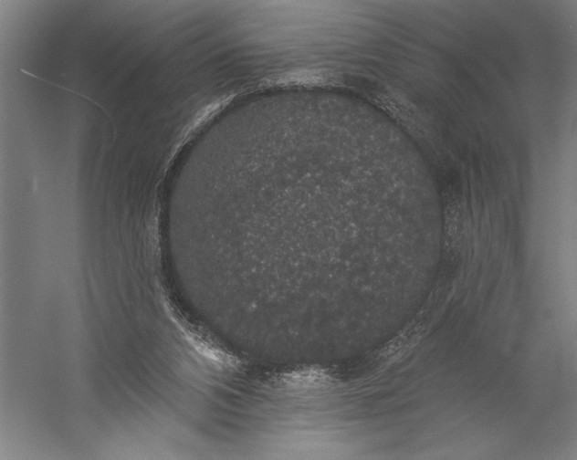 X0000056350112200509091607