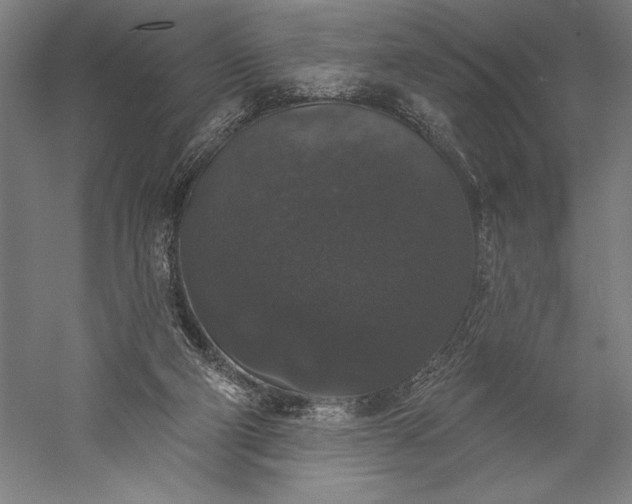 X0000056350114200509091606