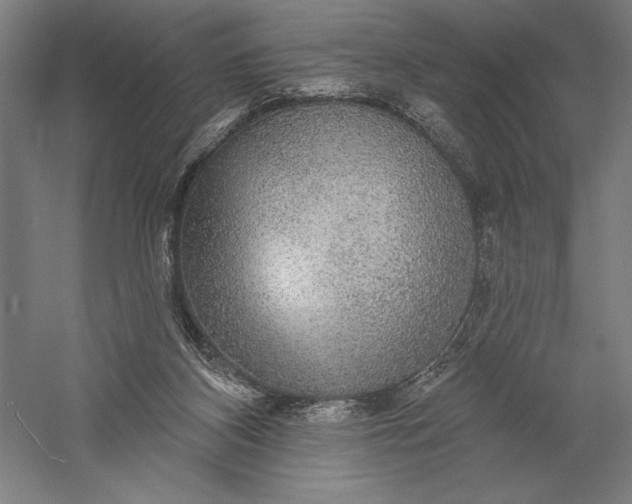 X0000056350116200509091606