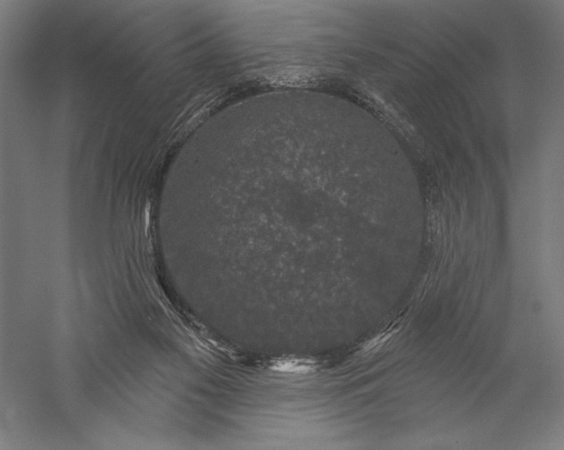 X0000056350117200509091606