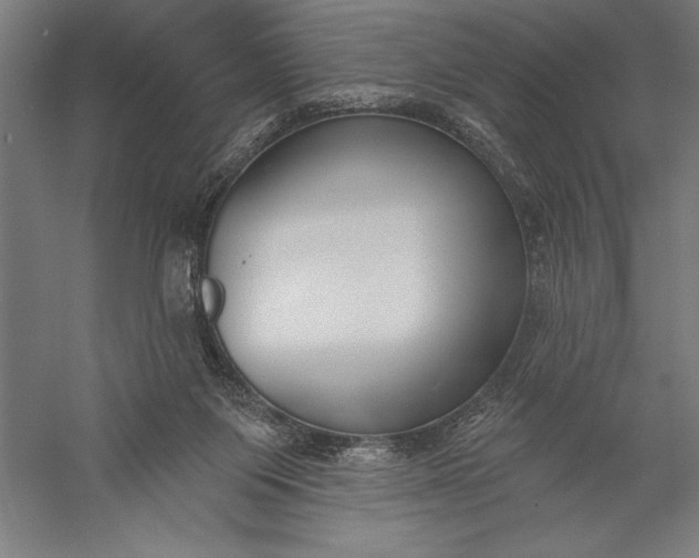 X0000056350119200509091606