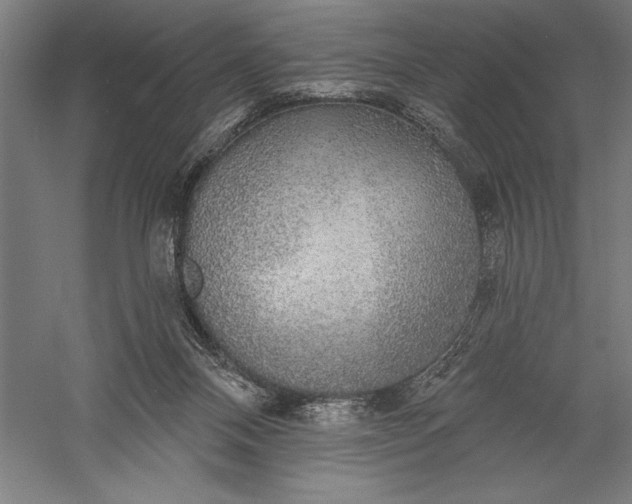 X0000056350120200509091606