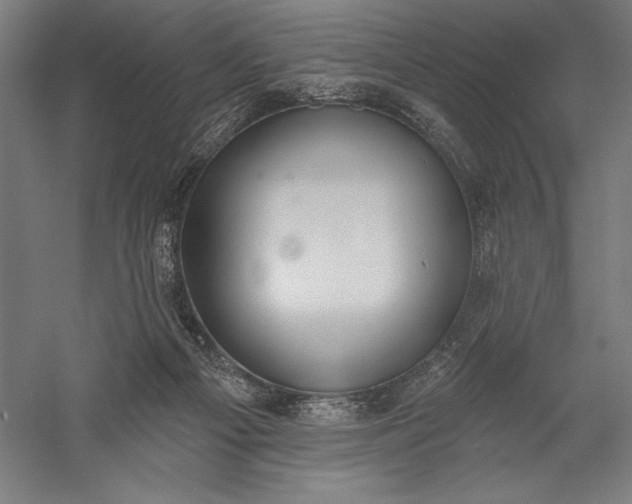 X0000056350121200509091606