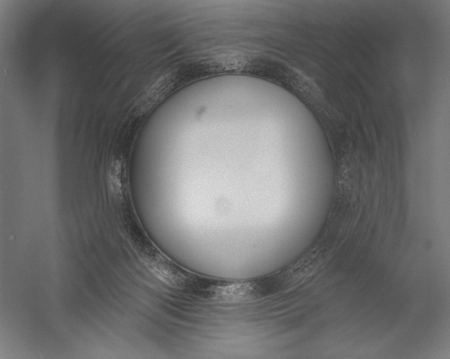 X0000056350122200509091606