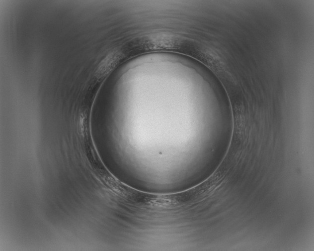 X0000056350123200509091606