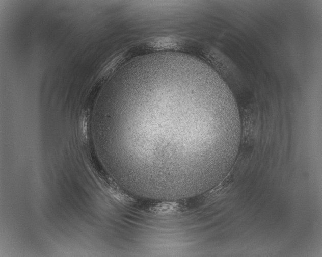 X0000056350124200509091606