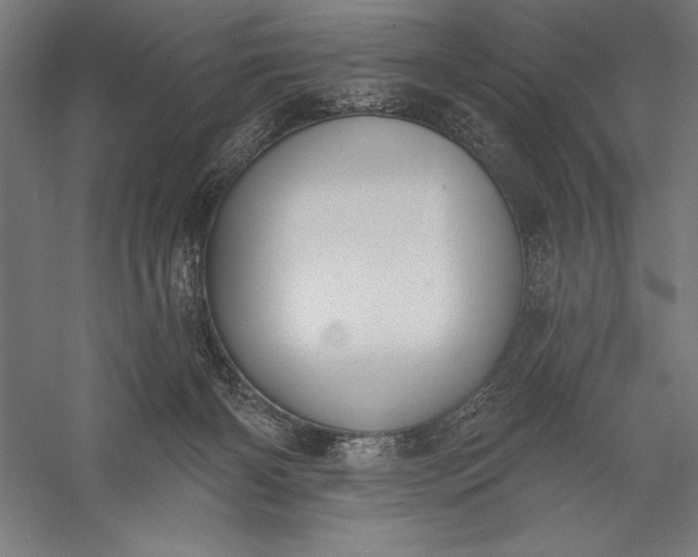 X0000056350126200509091606