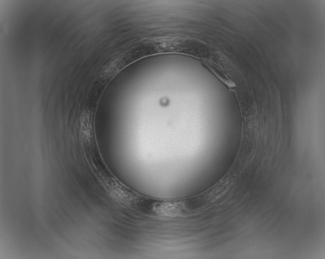 X0000056350129200509091606