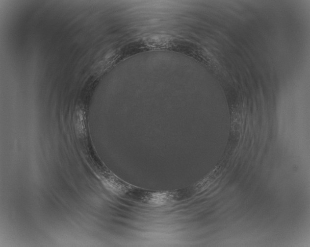 X0000056350130200509091606