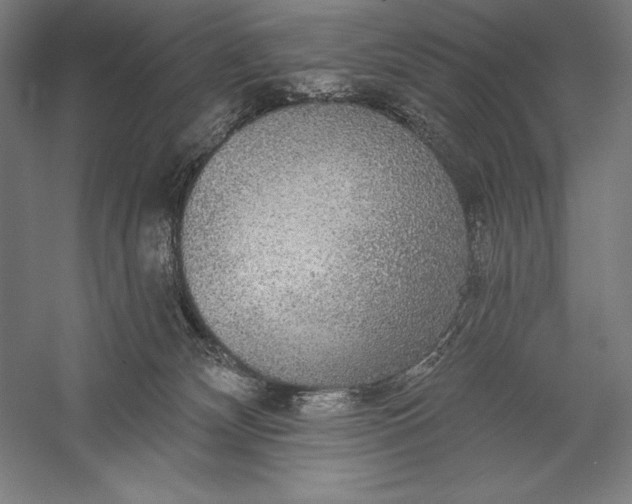 X0000056350132200509091606