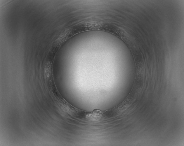 X0000056350133200509091606