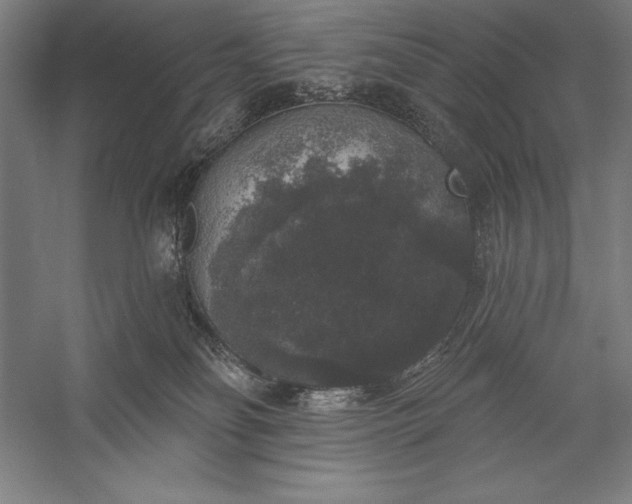 X0000056350134200509091606