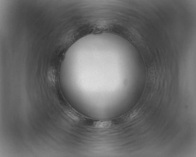 X0000056350135200509091606