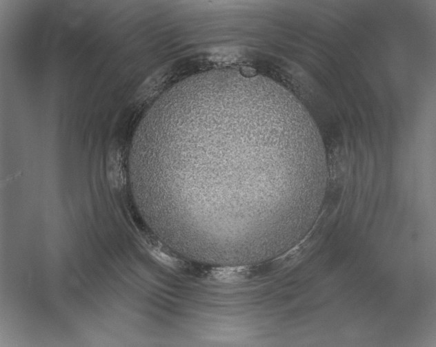 X0000056350136200509091606