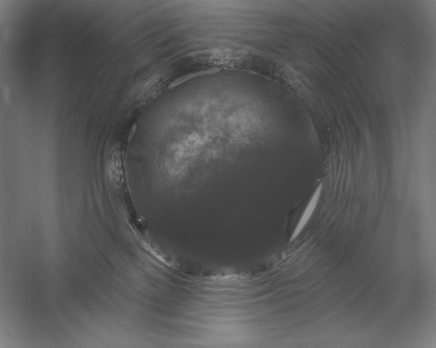 X0000056350137200509091606