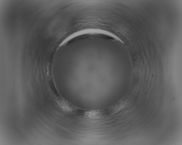 X0000056350139200509091606