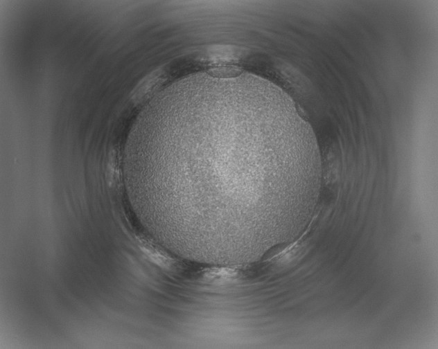 X0000056350140200509091606