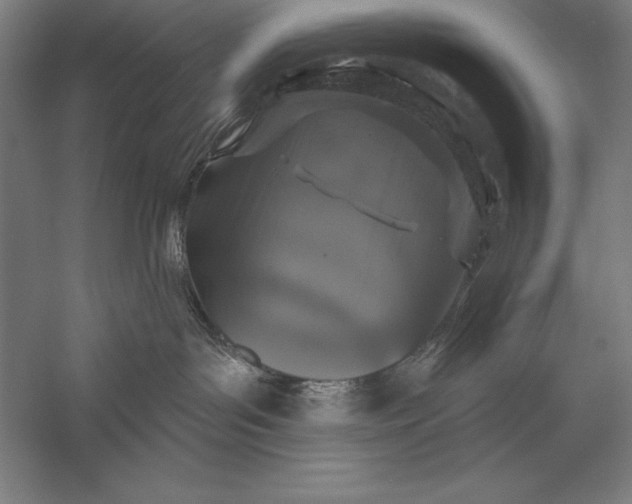 X0000056350143200509091606