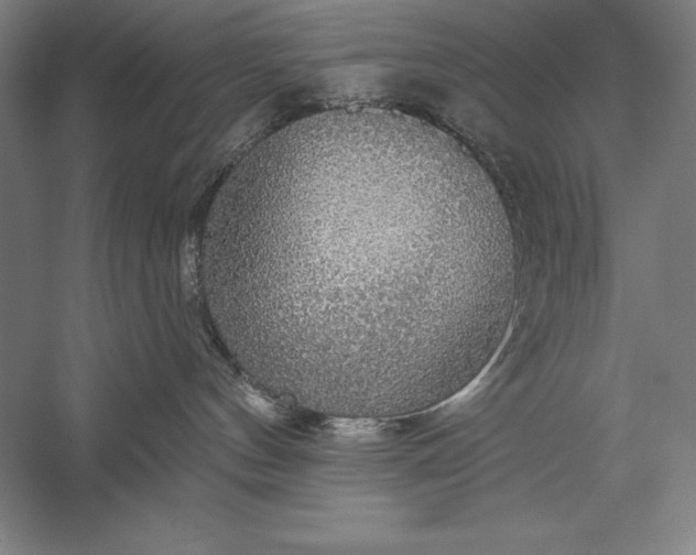 X0000056350144200509091606