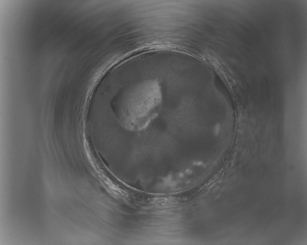 X0000056350145200509091605