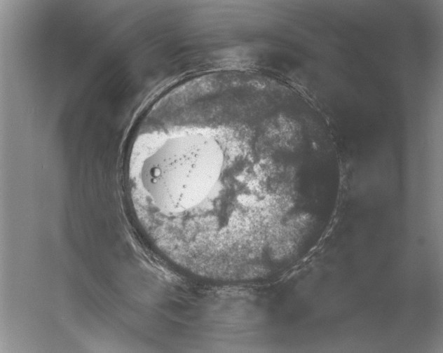 X0000056350146200509091605