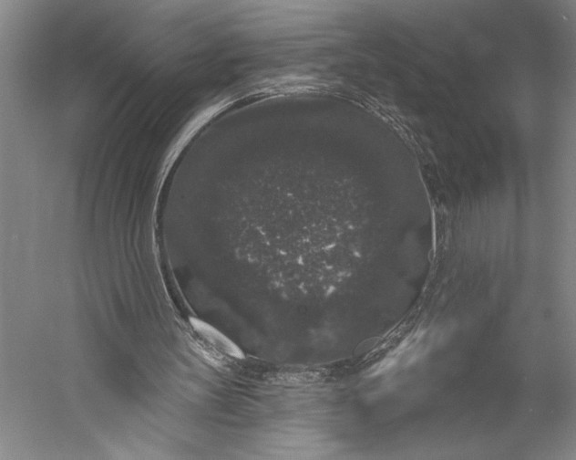 X0000056350147200509091605