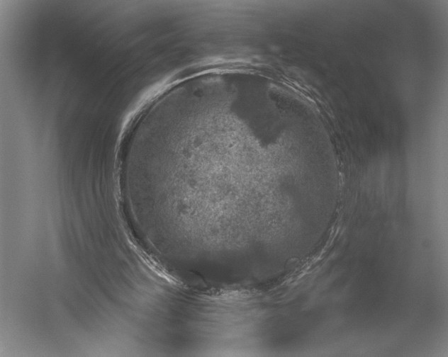 X0000056350149200509091605