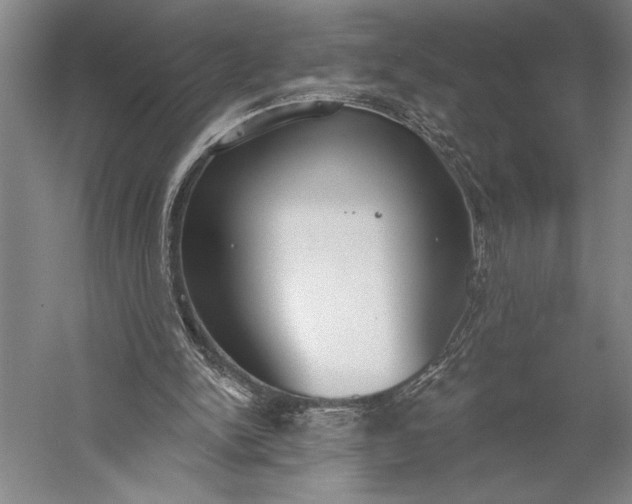 X0000056350150200509091605