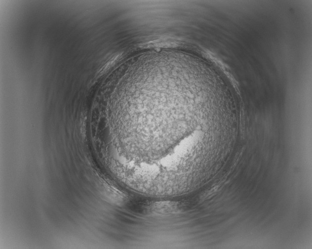 X0000056350153200509091605