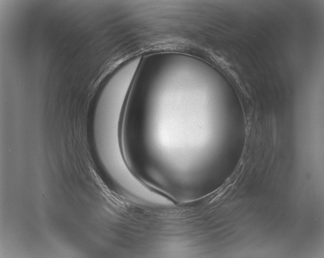 X0000056350154200509091605