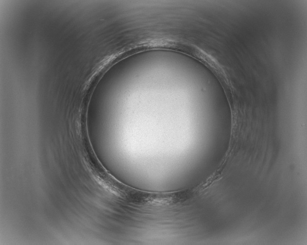 X0000056350155200509091605