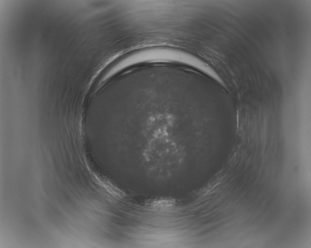 X0000056350156200509091605