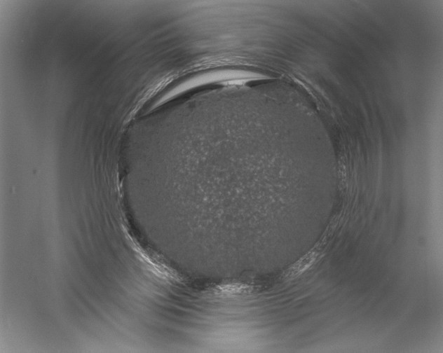 X0000056350158200509091605