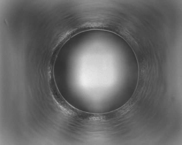 X0000056350160200509091605